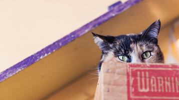 Are you making these 15 website design mistakes?