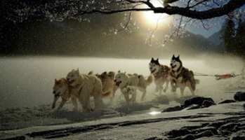 How To Build An All-Star ABM Roster