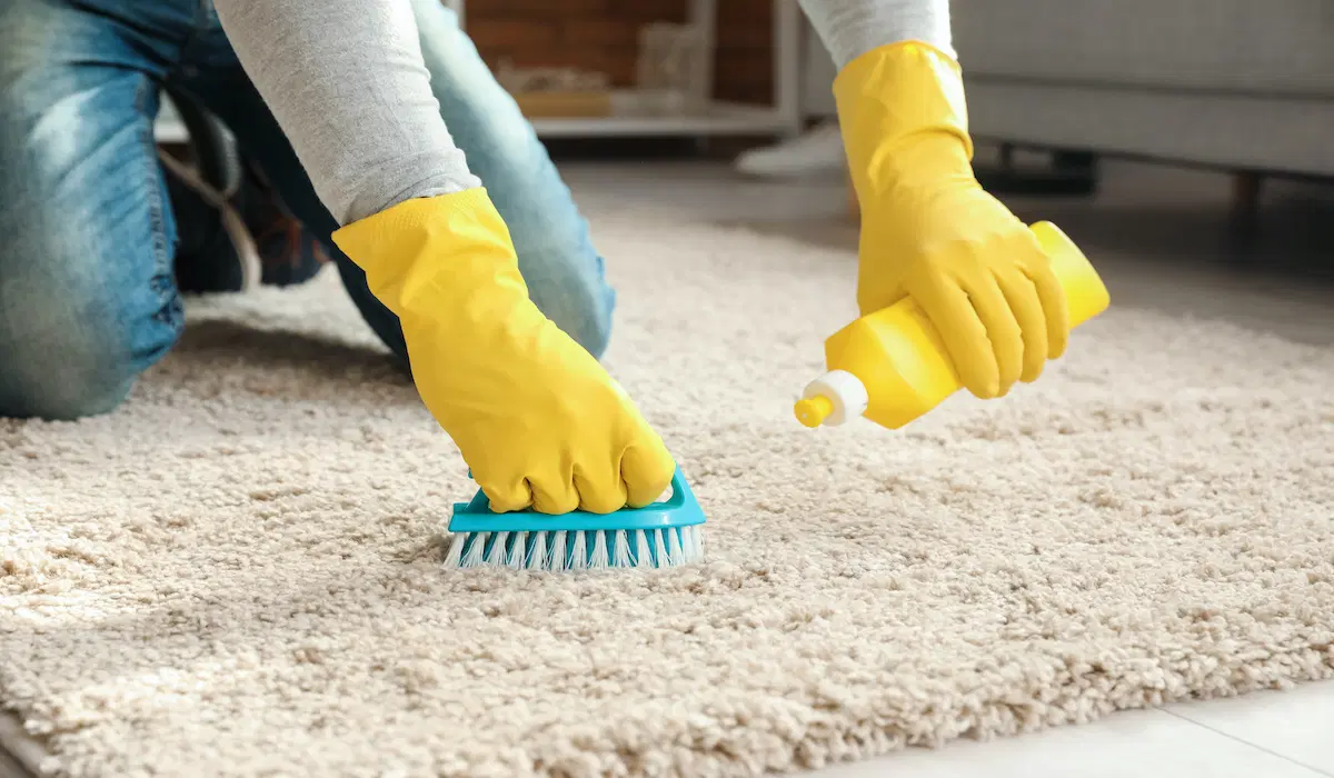 10 Best Carpet Cleaning Phone Systems