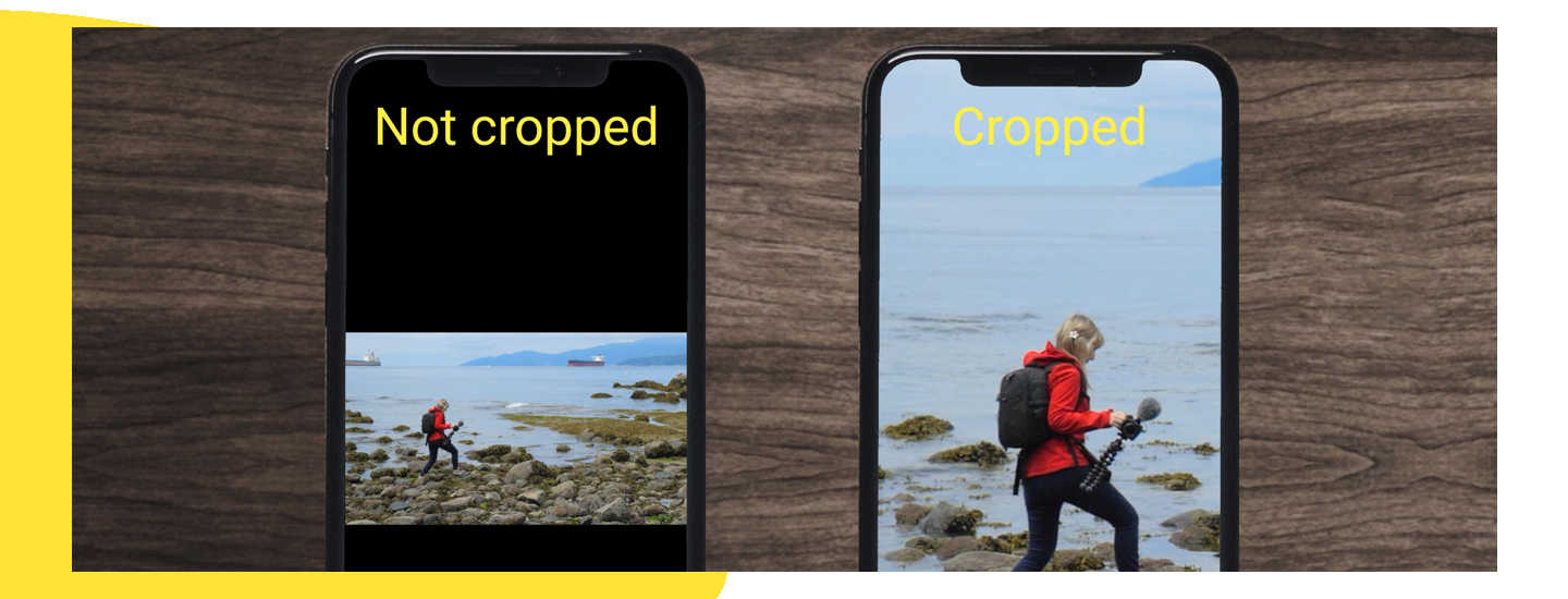 Repurposing Content Across Different Social Platforms