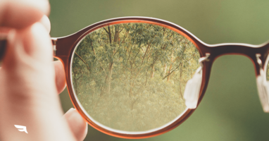 Spark Interview: See the Marketing Forest, Not the Trees.