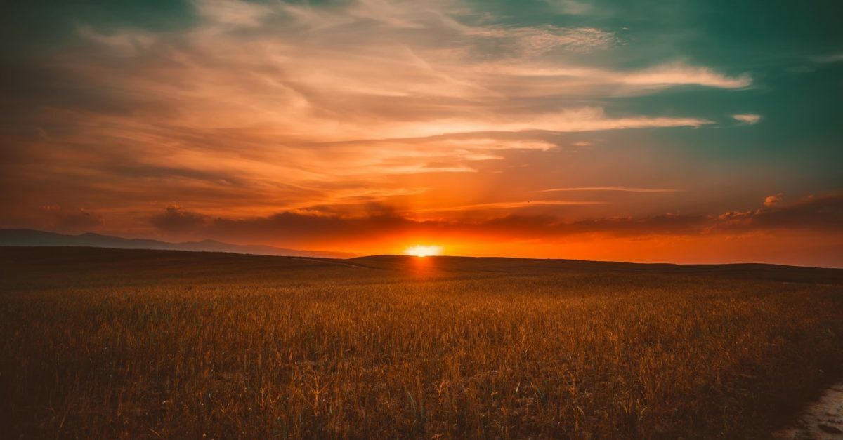 Don't Let the Sun Set On Your Emails: Create A Sunset Policy.