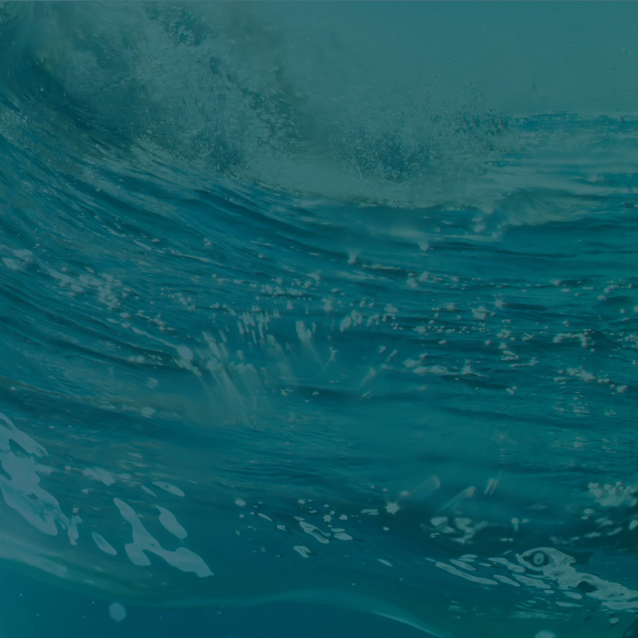 The Role of Social Media in the B2B Buying Process