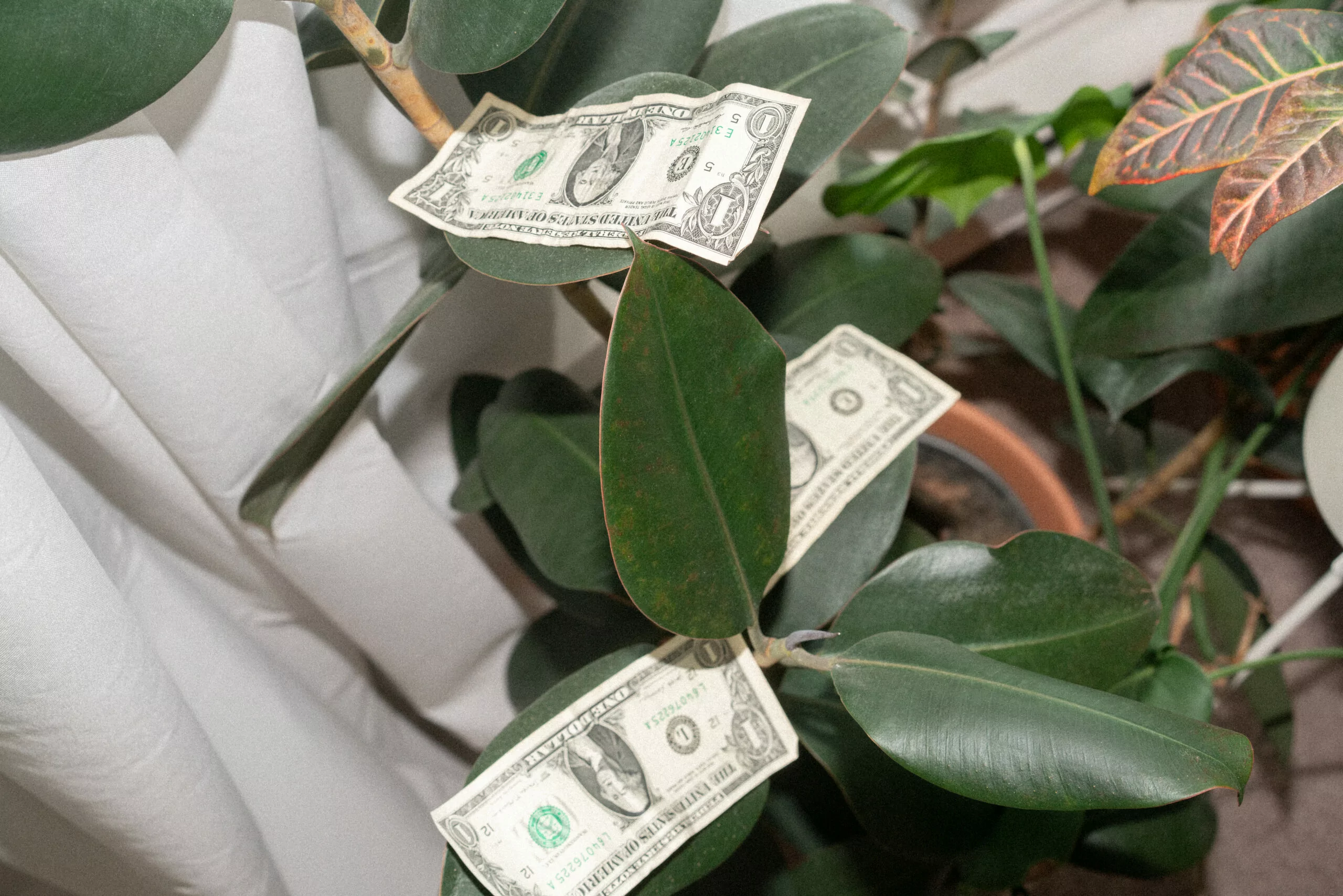 10 Ways You Can Make Money on YouTube