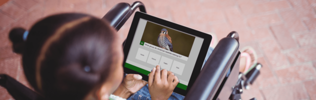 From A(rmy) to Z(oo): 4 Effective Branded Content Campaigns