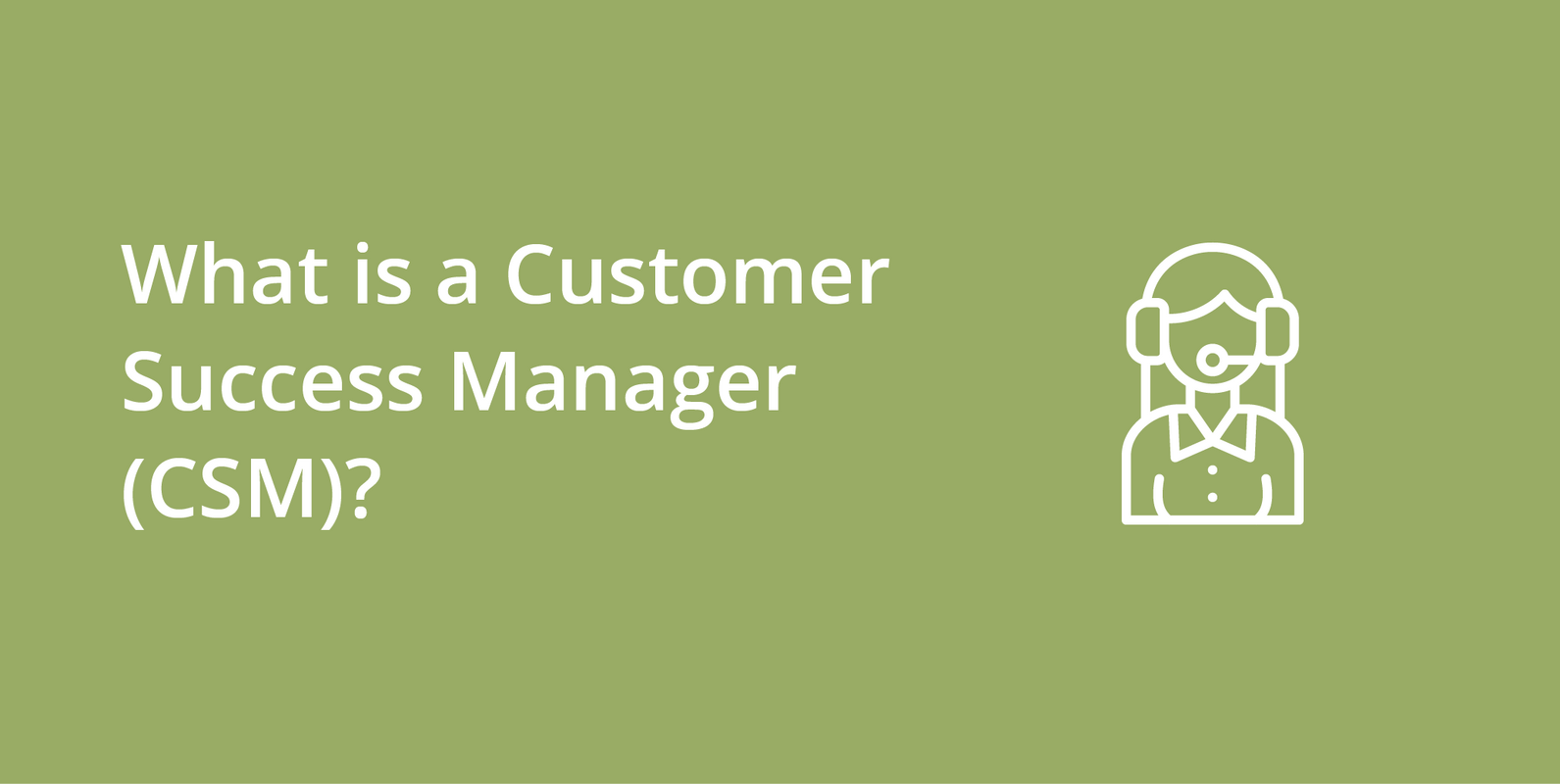 Customer Success Manager (CSM)