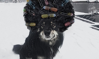 World's most valuable brands: how Amazon disrupted retail landscape