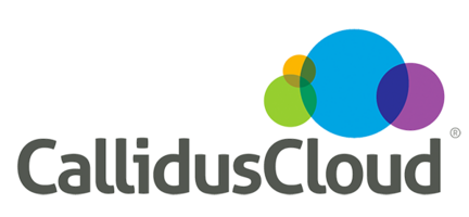 CallidusCloud Success Story