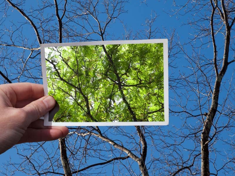 Top 5 E-Signature and Digital Transformation Trends and Predictions for 2022