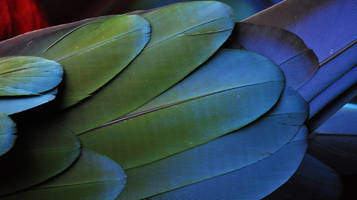 Your quick start guide to the Jetpack plugin