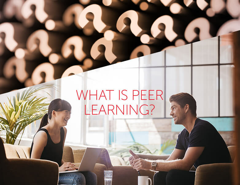 What is Peer Learning for Sales? [Infographic]