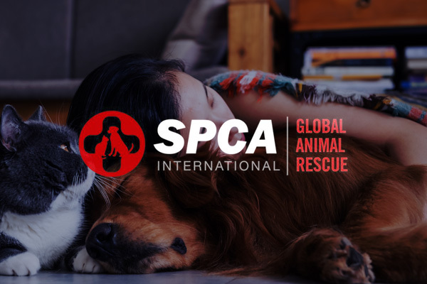 SPCA International