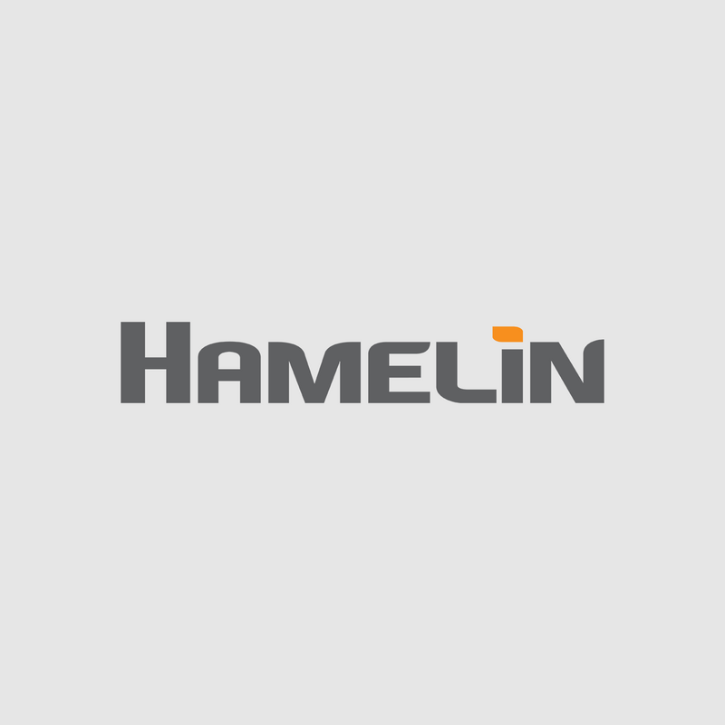 Customer spotlight story: Hamelin
