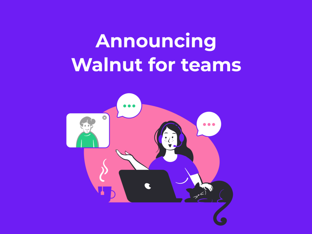 Announcing Walnut for Teams: The Best Way to Scale Personalized Buyer Experiences