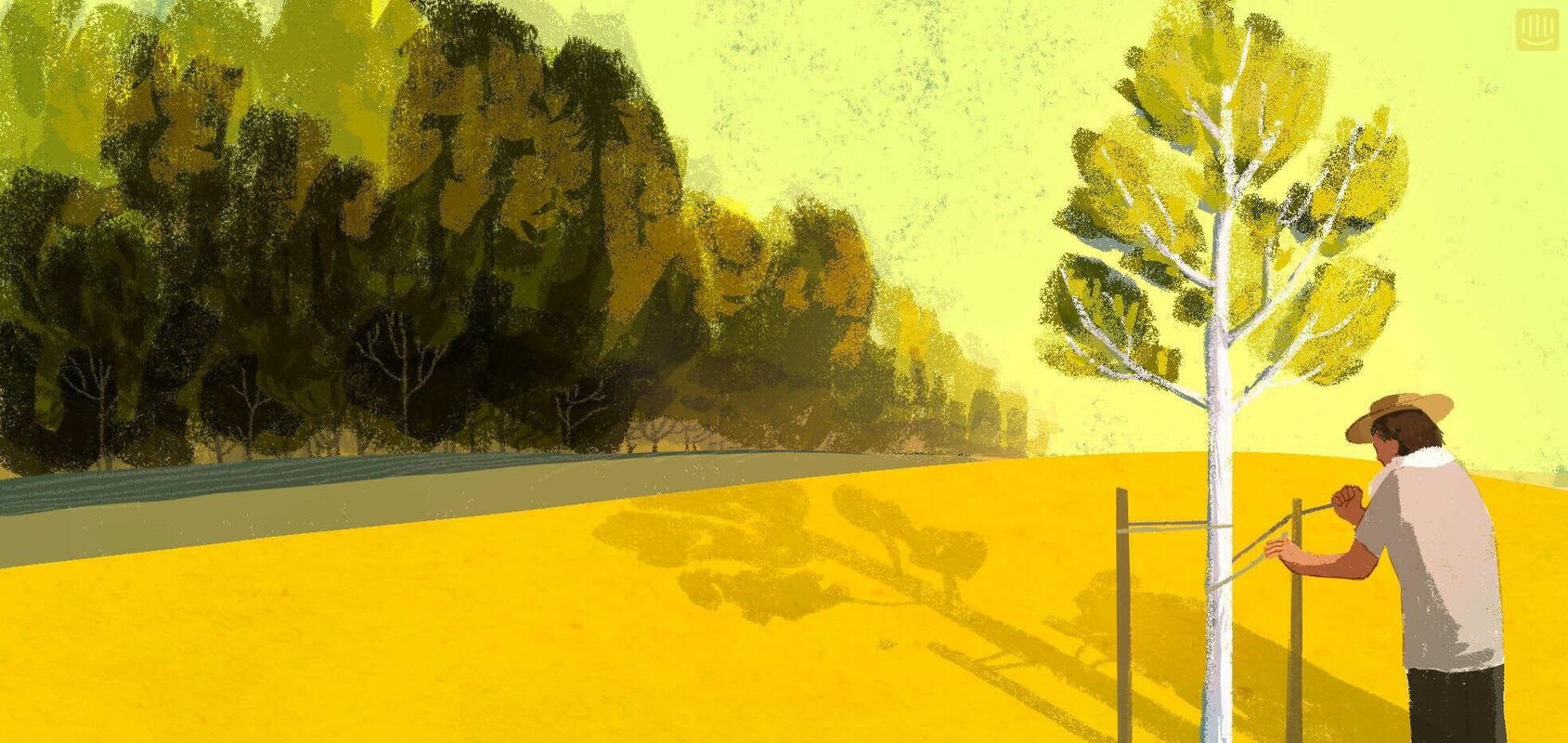 Why Conversational Customer Support Is a Key Strategic Investment