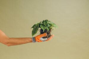 Customer Appreciation: 10 Ways to Thank Customers + Gift Ideas