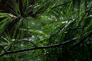 What Is Evergreen Content & Why Does It Matter for SEO?