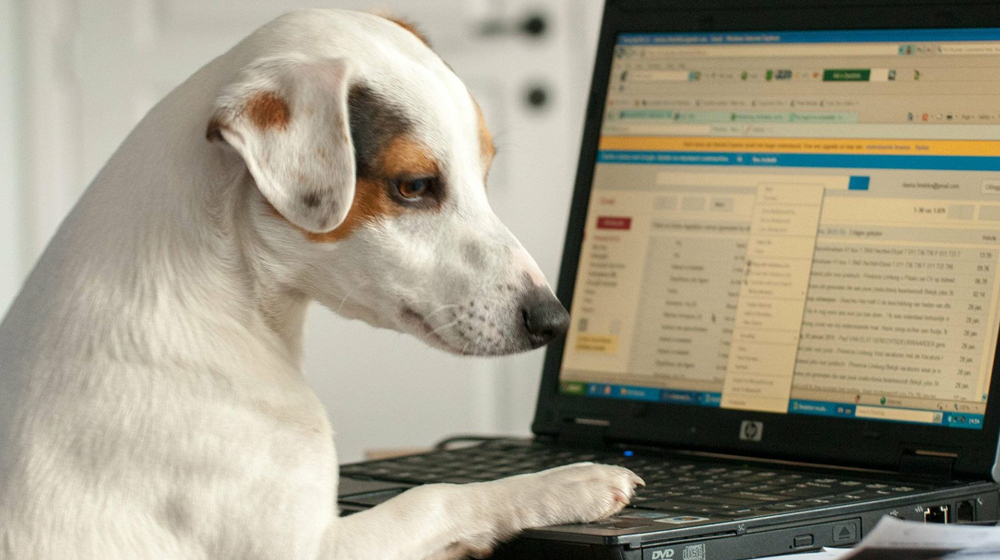 Choosing web hosting services: 7 developer requirements