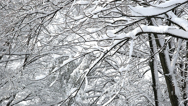 Prepare Your Business For Winter Storm Nemo