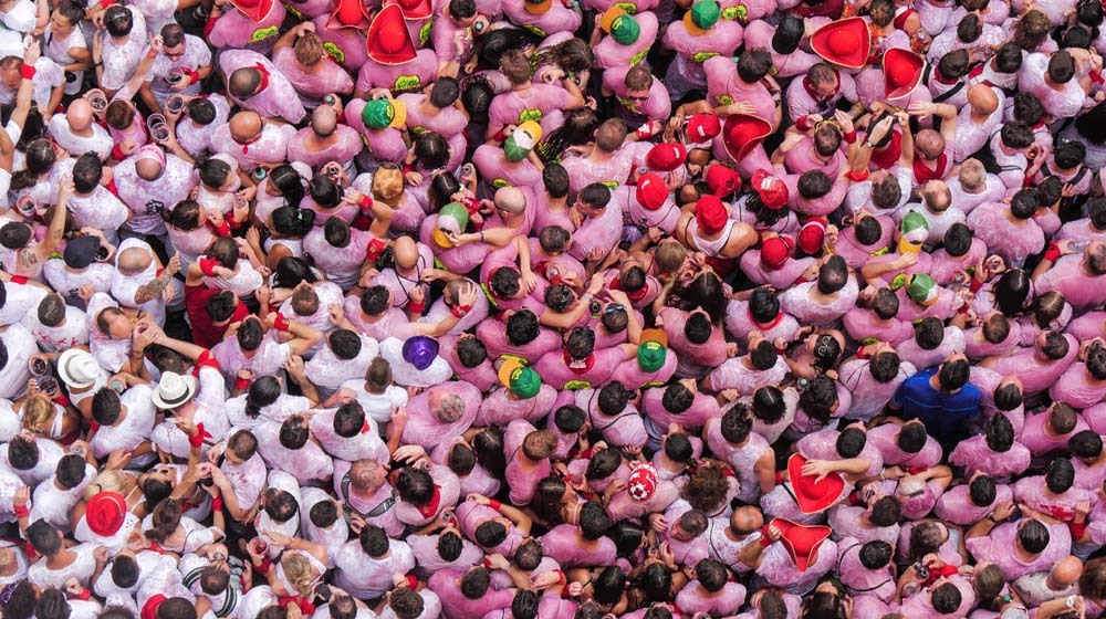 The 8 best WordPress plugins for email subscriptions