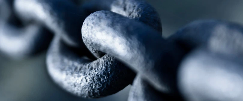 Building Backlinks: The Backbone of Your Ecommerce Business