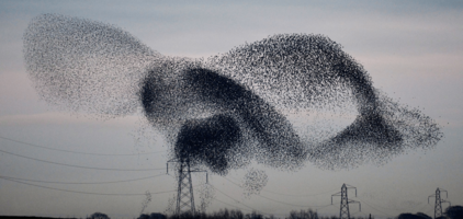 Don't let your users become a Twitter mob | Inside Intercom