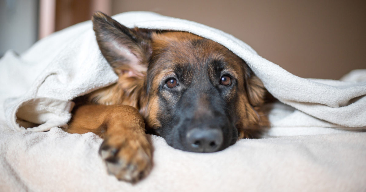 Your Blanket Emails Aren't Working: It's Time to Get Personal