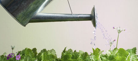 Lead nurturing: the channels you should be thinking about | dotdigital blog