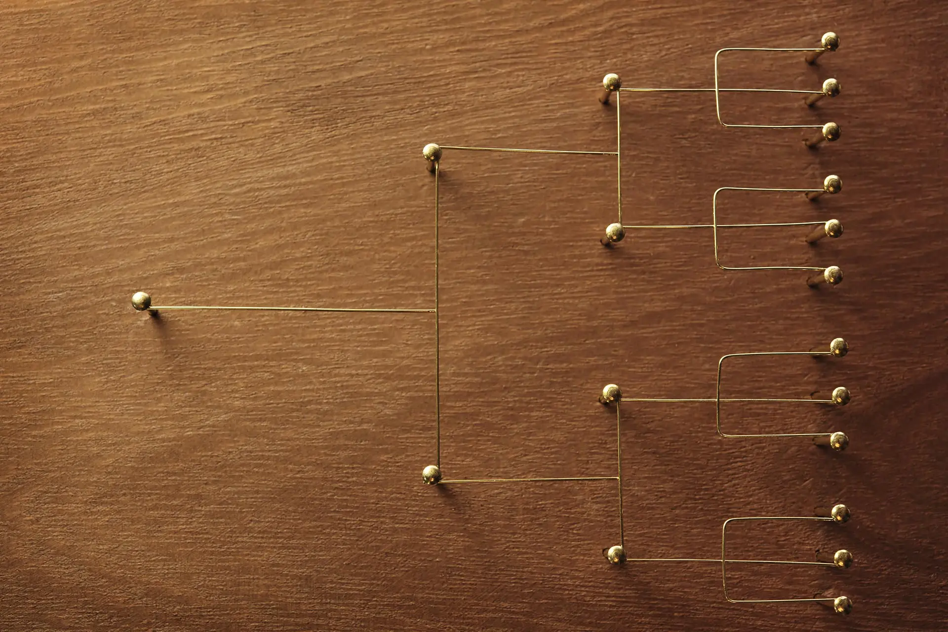 What are flowcharts and how are they used?