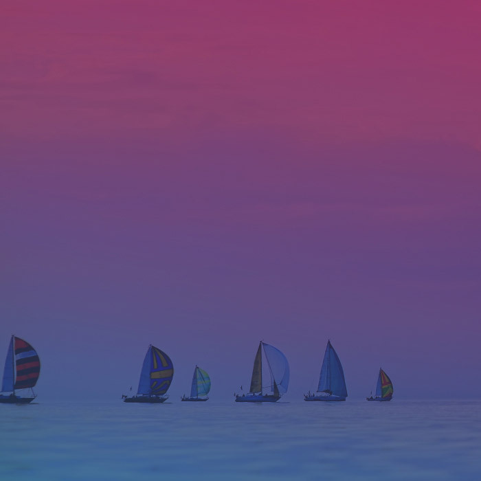 Mastering Organic B2B Lead Generation: Strategies, Techniques, and Best Practices