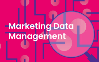 Marketing Data Management: Understanding Its Importance, Benefits, & Challenges