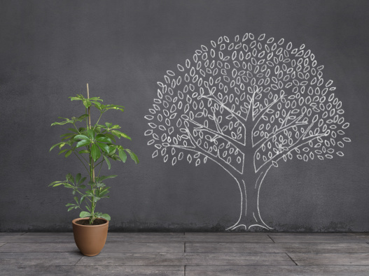 How E-Commerce Marketing Is Evolving in 2019