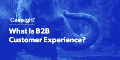 What Is B2B Customer Experience? | Gainsight.com