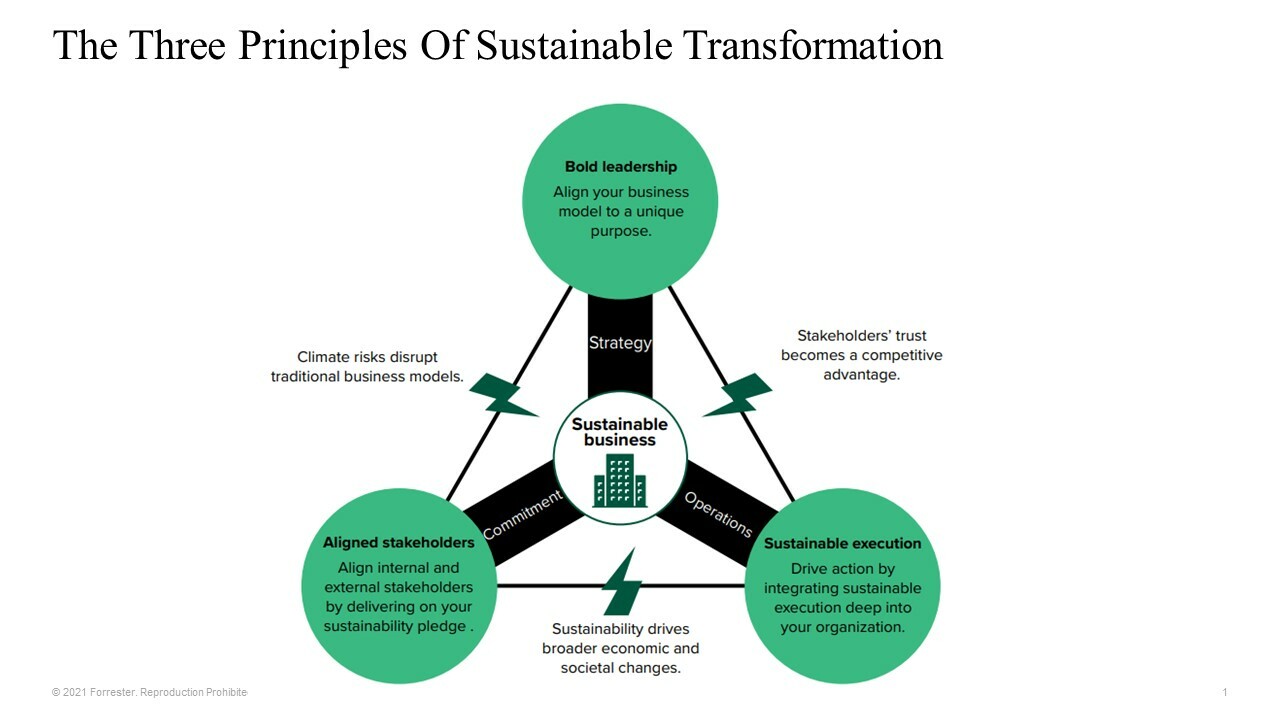 The Three Principles Of Sustainable Transformation