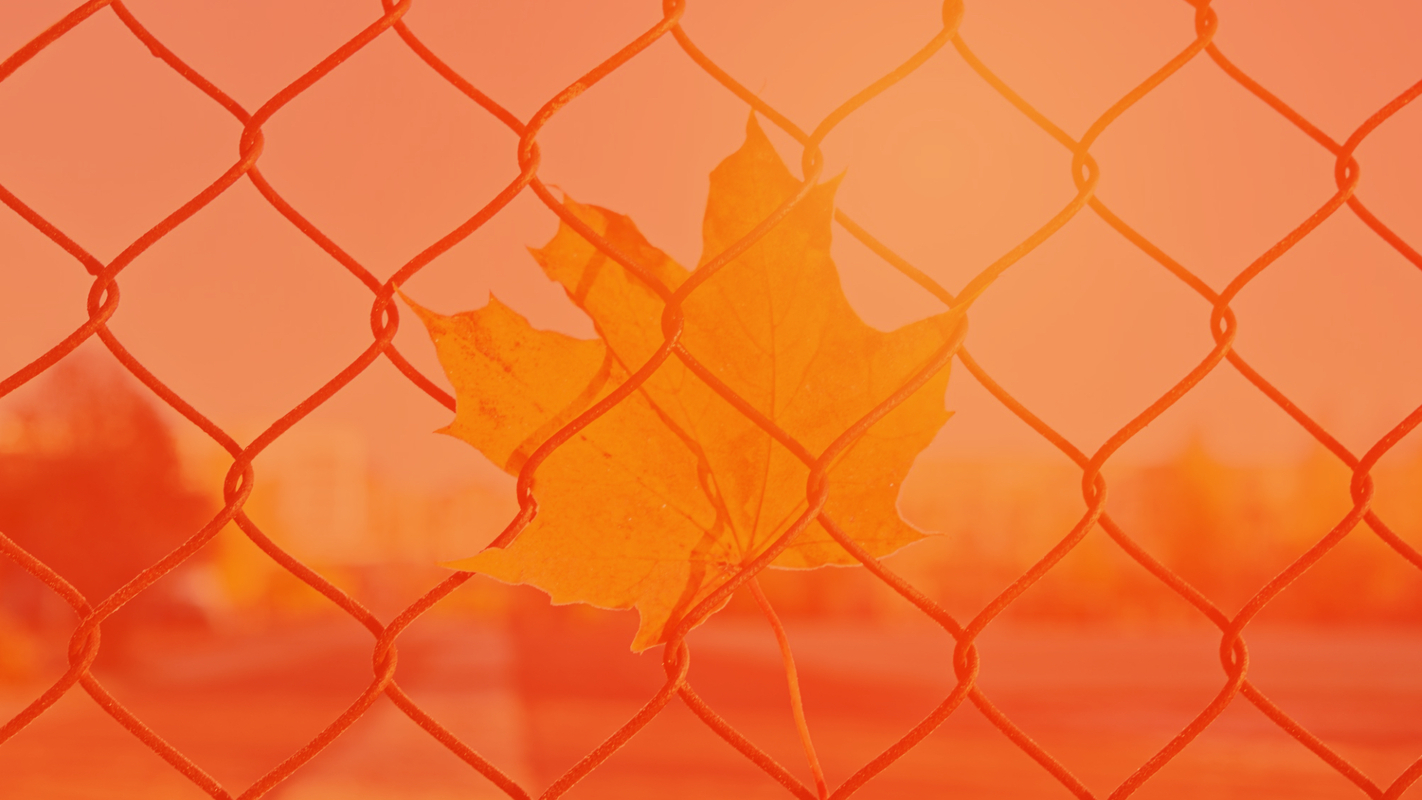 How to Know If You're an Adolescent Company, and What to Do Next