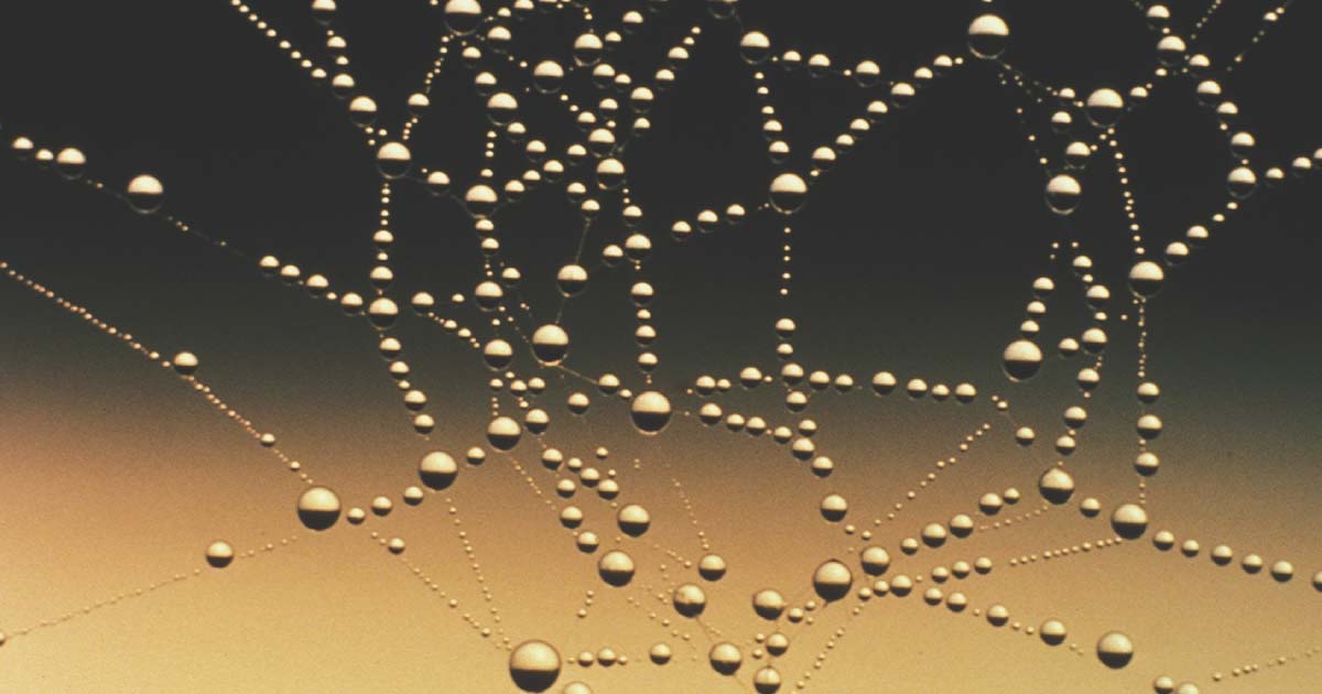 Introduction to GraphQL in AEM