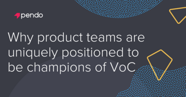Why product teams are uniquely positioned to champion VoC | Pendo Blog
