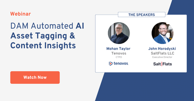 DAM Automated AI Asset Tagging & Content Insights