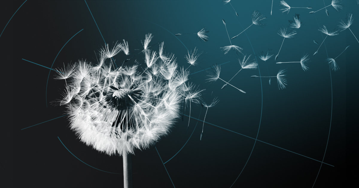 5 Things on Your Social Media Manager's Wishlist