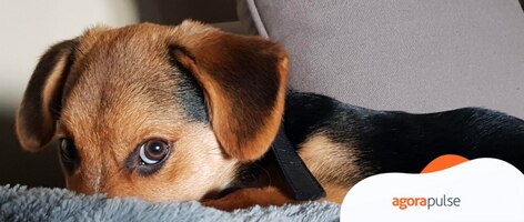 How to Hide a Facebook Post: A Step-by-Step Guide