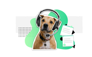 Why Customer Support Teams Need Extra Love