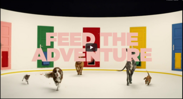 Pathmatics Ad of the Week, Episode 2 - Petco