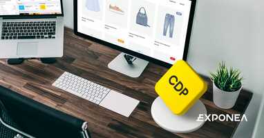 Is Your Company Prepared for a Customer Data Platform? (The Holy Grail of CDP Implementation)