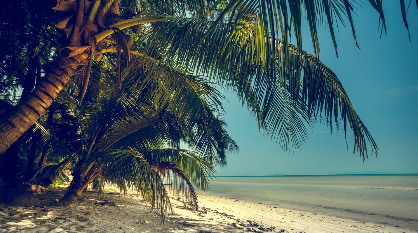 Kiwi Boosts Bookings Via Push Notifications