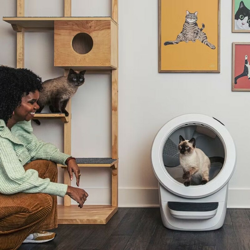 Whisker Optimizes Customer Journeys With Bloomreach