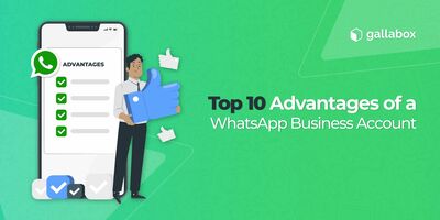 Top 10 Advantages of a WhatsApp Business Account