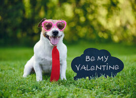 34 Valentine's Day Messages for Clients (Copy/Paste!)