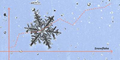 Optimize Your Snowflake Spend: 4 Steps for Smarter Data Cost Management