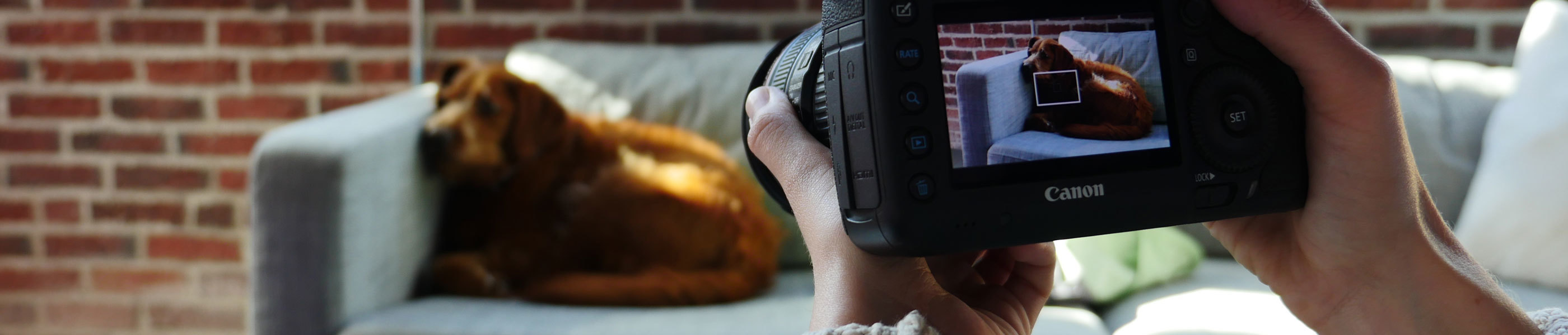 Shooting Stable Handheld Video Footage