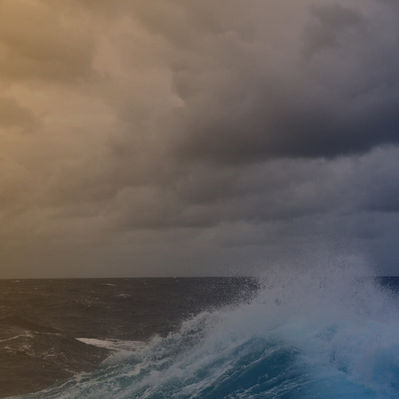 INFUSE Insights Report: Voice of the Marketer 2024